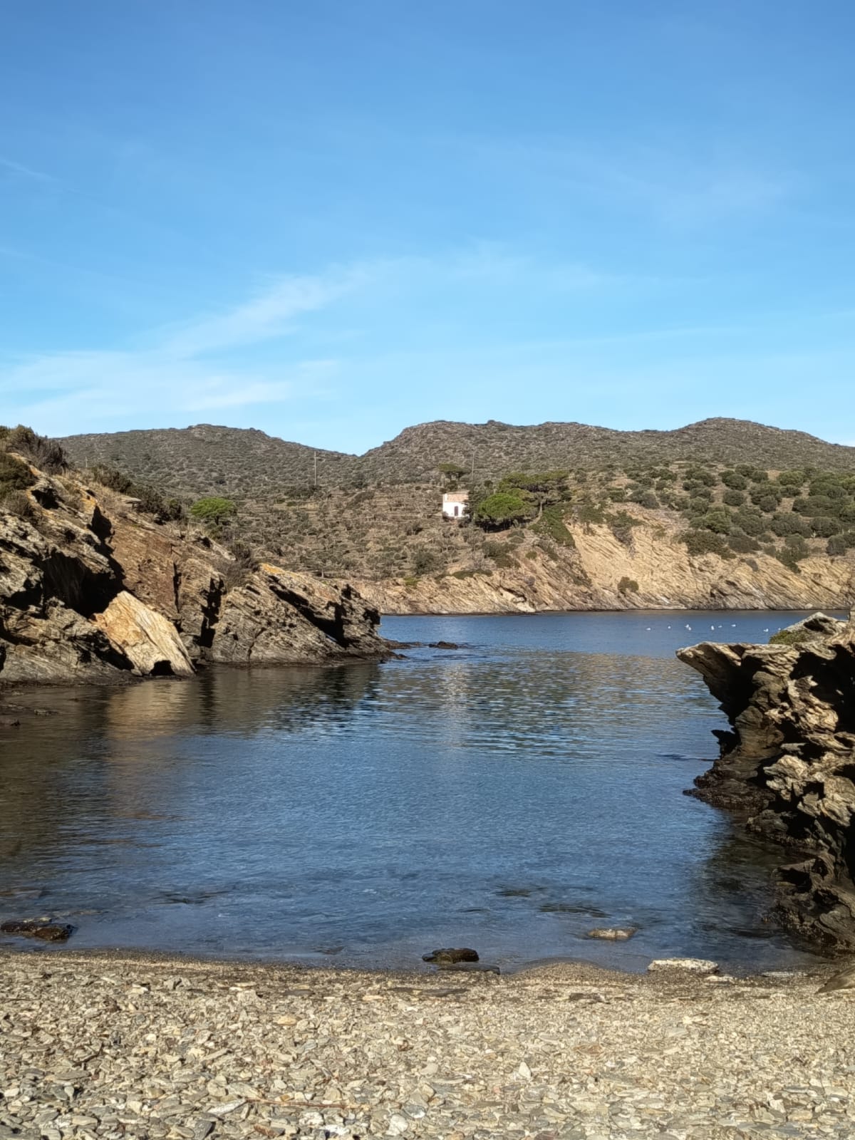 Ruta Josep Pla a Cadaqués-Es Jonquet: literatura, flora i paisatge